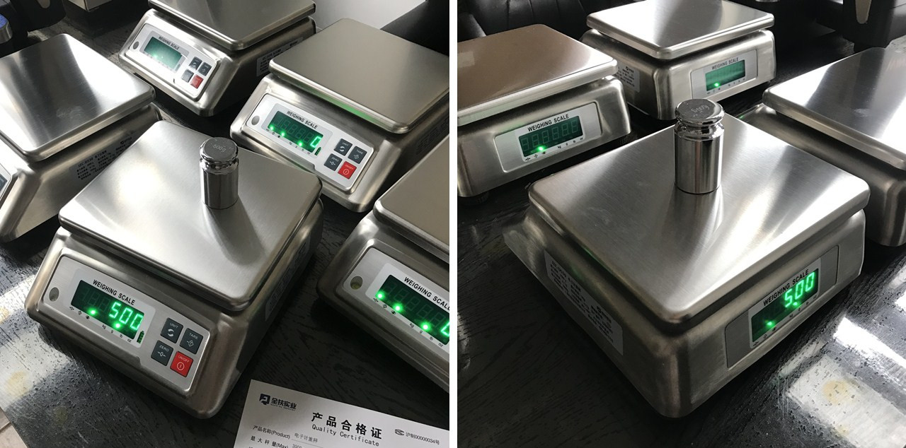 DS-30不銹鋼防水秤